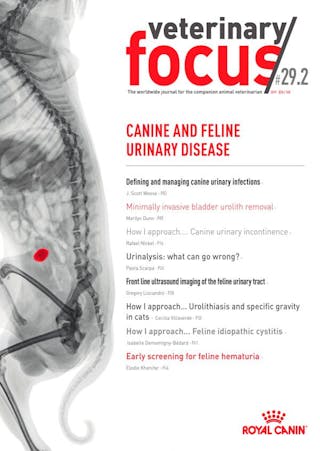 Canine and feline urinary disease